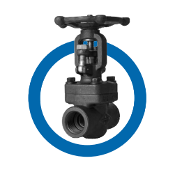 Gate Valve - Forged Steel 800