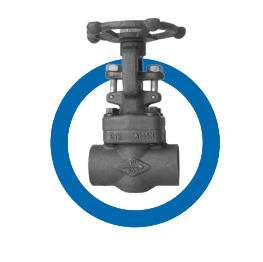 Globe Valve -  Forged Steel 800